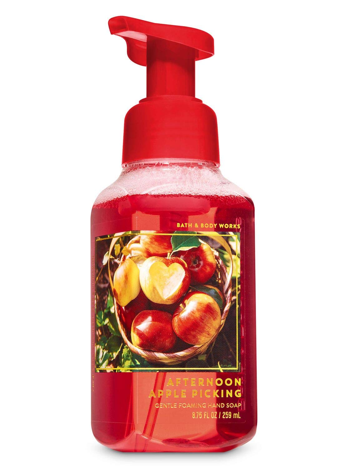Bath and Body Works Fall Favorites - Set of 5 Foaming Hand Soaps - Sweet Cinnamon Pumpkin, Marshmallow Pumpkin Latte, Crisp Morning Air, Afternoon Apple Picking, Warm Autumn Glow : Beauty