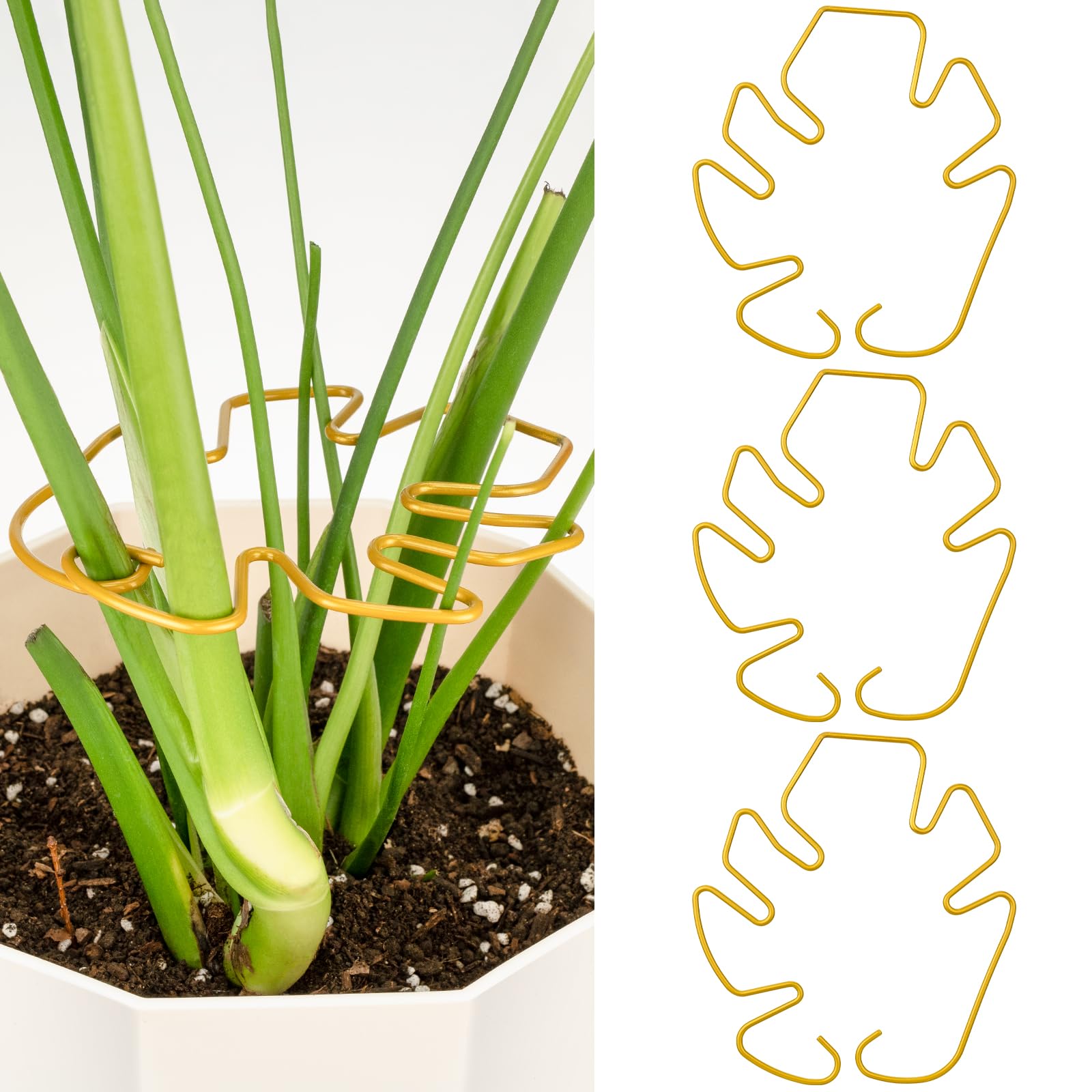 Photo 1 of Yncotte Monstera Plant Support 3 Pack, Plant Supports for Indoor Plants, Metal Plant Stem Holder Large Plant Support Ring Unique Design for Climbing Plants Stem Stabilizer Growth Accessories (Gold)
