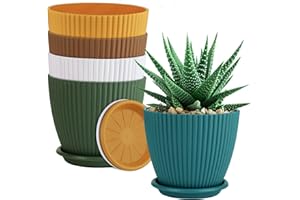QRRICA Plant Pots 6 inch Pots, 5 Pack Flower Pots Outdoor Indoor, Planters with Drainage Hole and Tray Saucer-Multicolour