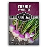 1 Pack Purple Top Turnip Seed for Planting - Packet