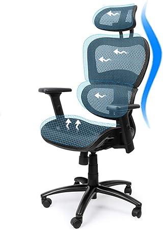 Ergousit Ergonomic Office Chair High-Back Executive Chair