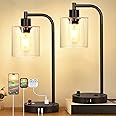 Set of 2 Industrial Table Lamps with 2 USB Port, Fully Stepless Dimmable Bedside Lamps for bedrooms, Nightstand Desk Lamp with Seeded Glass Shade for Reading Living Room Office 2 LED Bulb Included