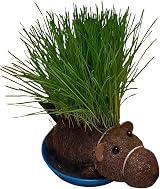 Diabolical Grow Your Own Hairy Beaver Funny Gift Brand Diabolical view 3
