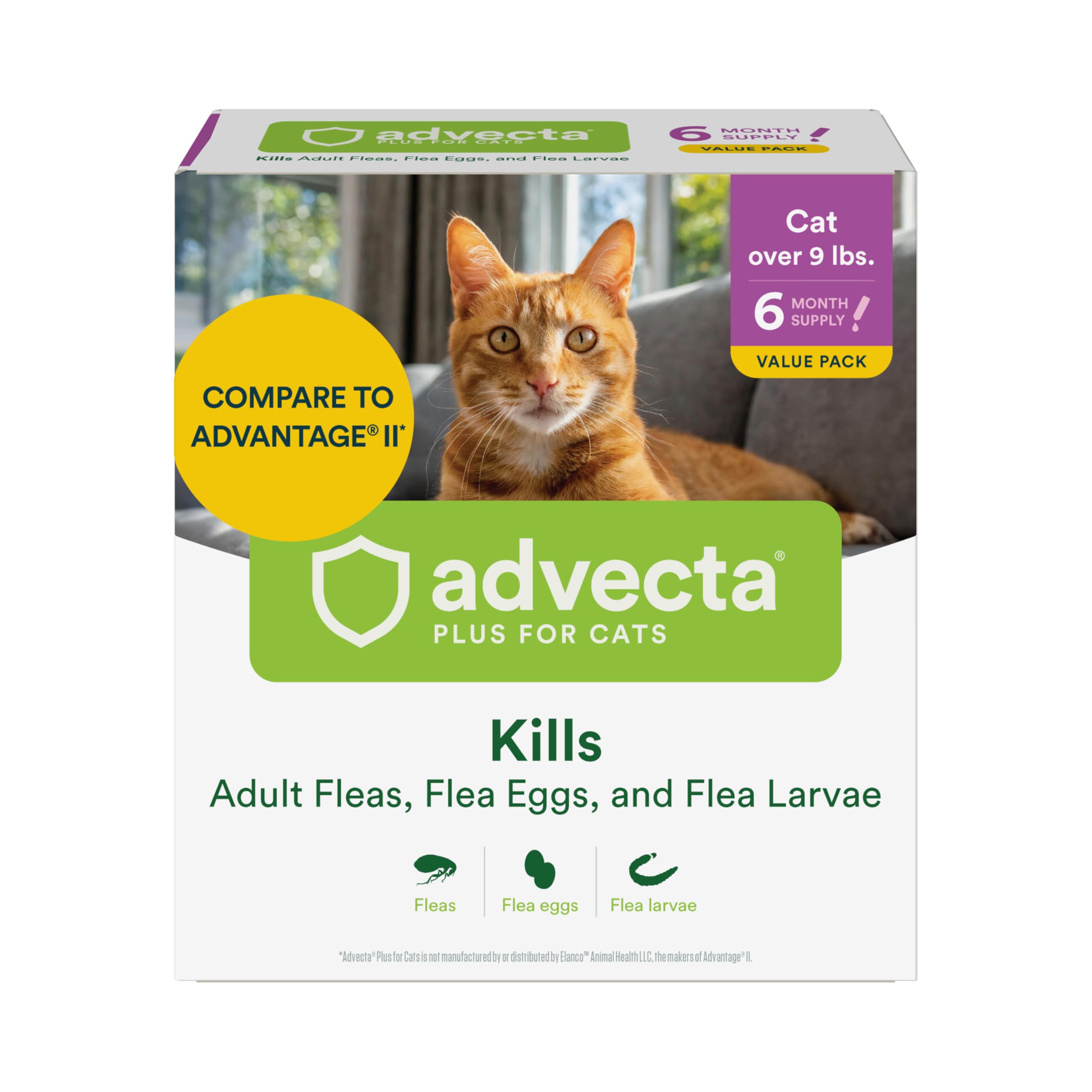 Advecta Plus Topical Large Cat Flea Treatment for Cats and Kittens, Flea Prevention and Control, Fast-Acting Waterproof Drops, 6-Month Supply