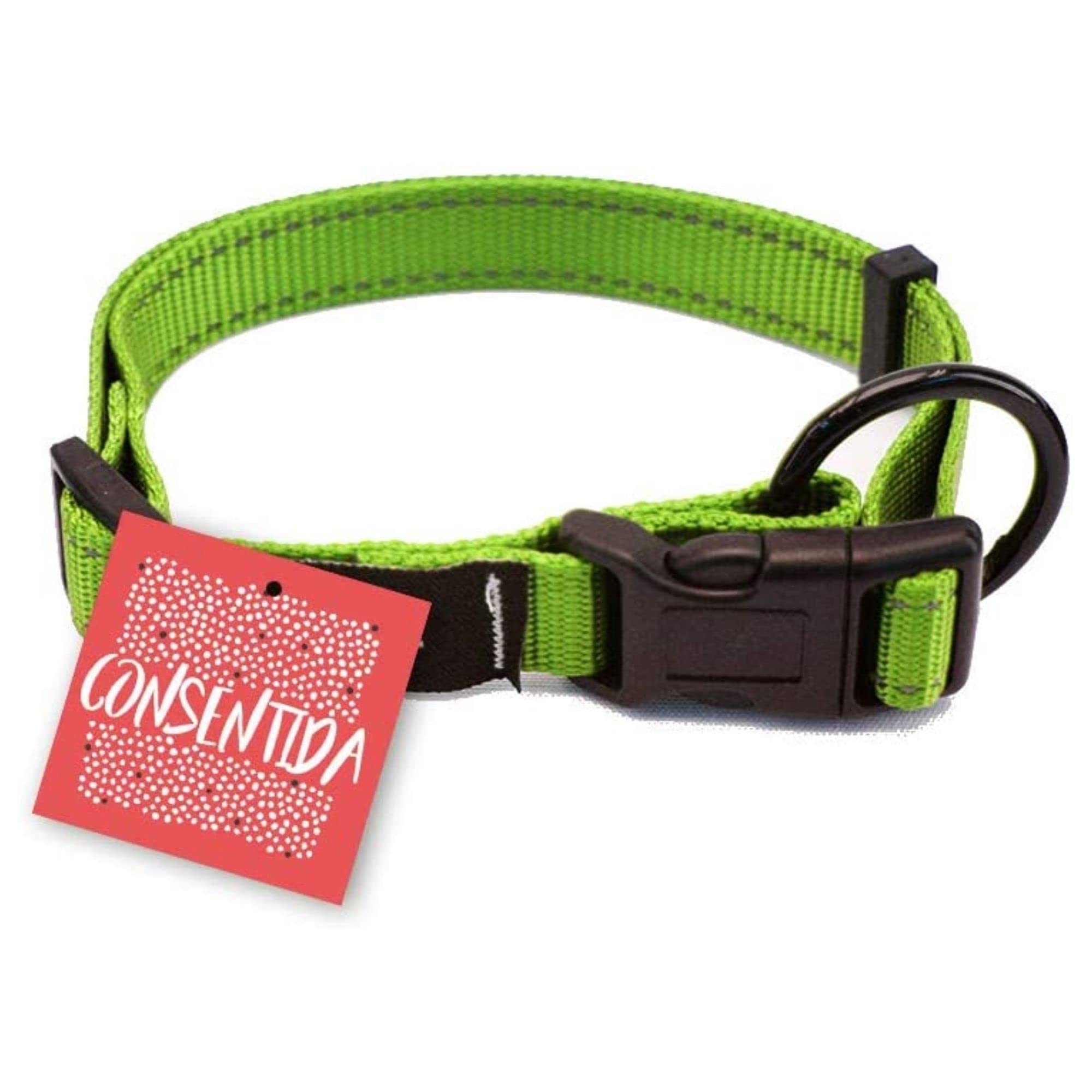 Consentida cn205678 Necklace Security fluorine T-2, 28 – 45 x 1.5 cm, M, Green