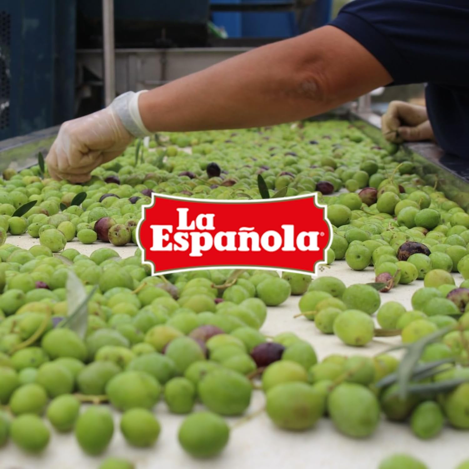 LA ESPAÑOLA - Natives Olivenöl Extra (5L) 5