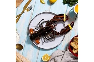 Maine Lobster Now: 6 Pack of 1.5 lb Live Maine Lobster