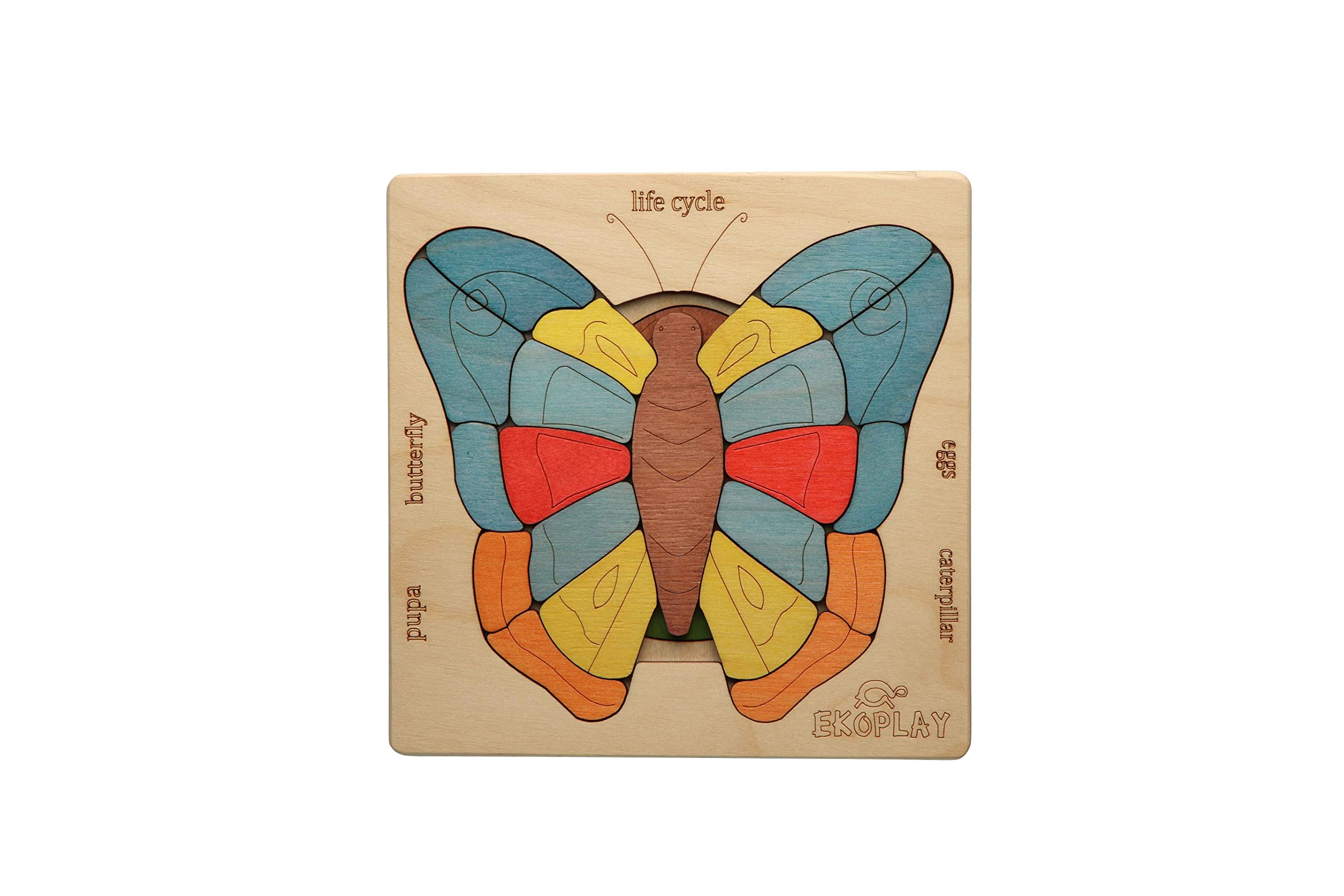 Life Cycle of A Butterfly | 31 Piece Wooden Multilayered Jigsaw Puzzles for Kids | Educational Toy and Gift for Boys & Girls 3 Years and Above — image 1