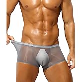 PAIZH Mens Sexy See Through Boxer Briefs Ice Silk Trunks Underwear Ultra Thin Soft Sheer Bulge Pouch Boxer Shorts