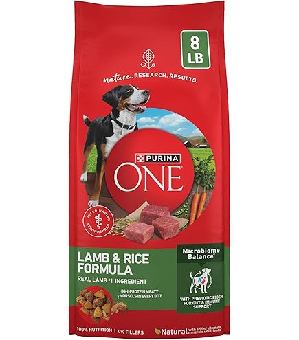 Amazon.com: Purina ONE Chicken & Rice Formula Dry Dog Food, 8 lb