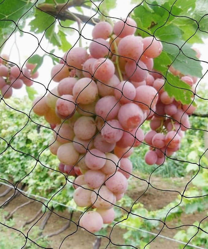 Anti Pájaro red de malla, Ashow aves de corral Prevención con 0.5 ...