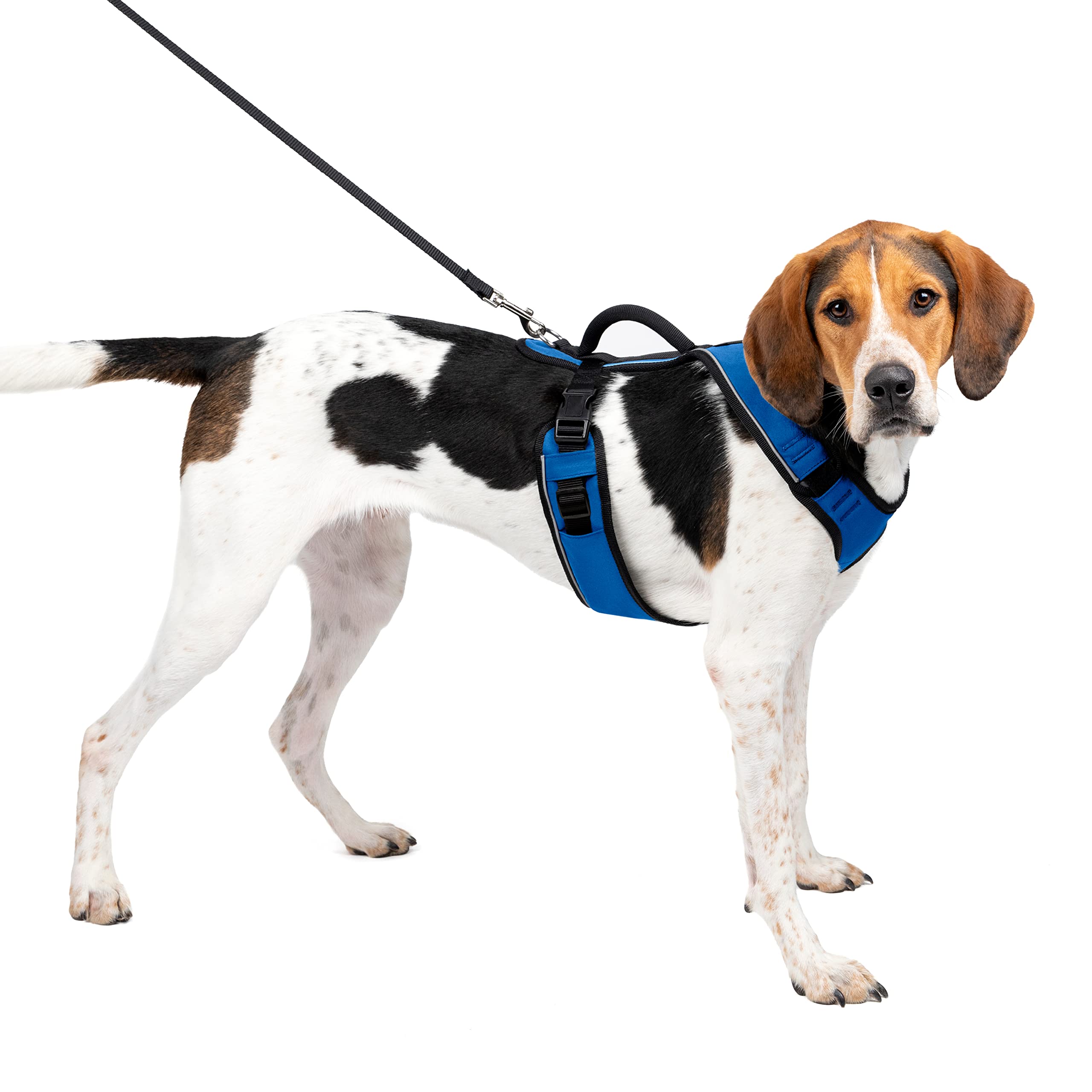 PetSafe EasySport Harness, Walking Harness for Dogs, Adjustable, Padded, Large-Blue
