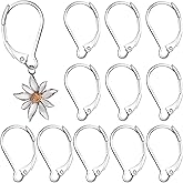 Winsyison 12pcs Leverback Earring Hooks, Hypoallergenic Stainless Steel French Earring Clasps, D-Ring Ear Wire Findings for Jewelry Making- Silver