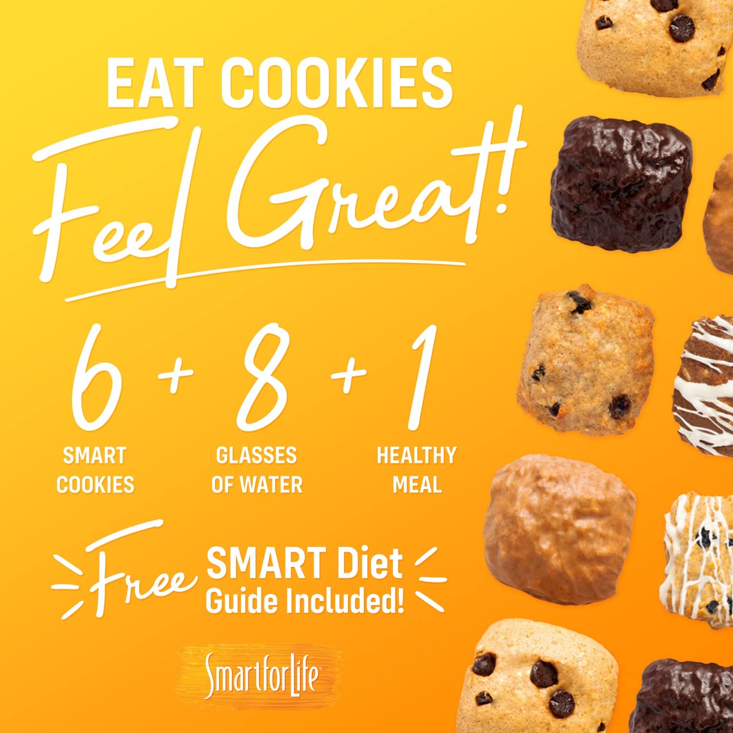 Smart for Life Oatmeal Raisin Protein Cookies - High Protein Cookie Diet - 1 Week Supply - Meal Replacement - On-The-Go Snack - Low Sugar Low Calories Super High Fiber Cookies - Protein Snack