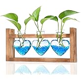 Nacome Plant Terrarium Propagation Stations: Valentines Day Gifts for Her Plant Lovers Women Mom Wife Daughter - 3 Bulb Glass Vase with Wooden Stand Tabletop for Hydroponics Home Garden Wall Decor