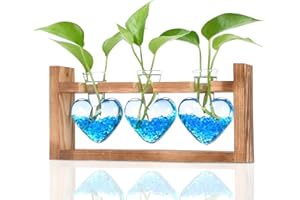 Heart Shaped Plant Propagation Station, Glass Vase, 3-Bulb Hydroponic Glass Planter for Desktop, Cute Valentines Day Gifts fo