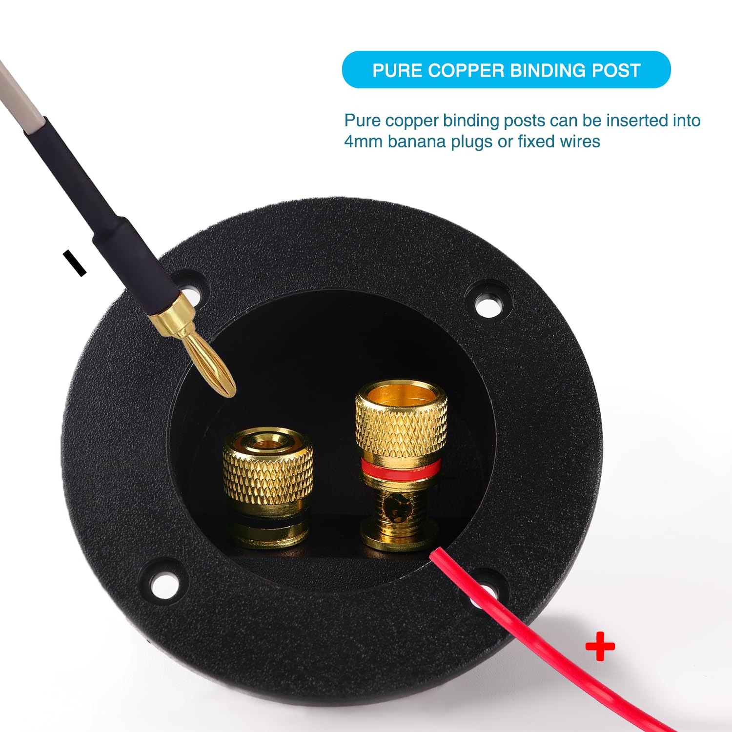 View 3