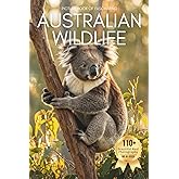 Picture Book of Fascinating Australian Wildlife: A Calming Collection of Real Animal Photography for Seniors Living with Memory Loss, Alzheimer’s, or Dementia (Animal Coffee Table Books)