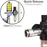 Hyundai 24L Oil-Free Low Noise Air Compressor 750W 5.2CFM Twin Gauges view 4