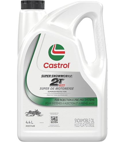 Castrol Go! 2T Two Stroke Motor Oil 500ml : Amazon.ca: Automotive