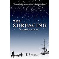 The Surfacing book cover