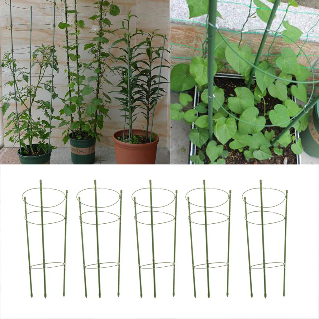 FLAMEER 5 Pcs Soportes para Plantas Anillo de Soporte para Jaula ...
