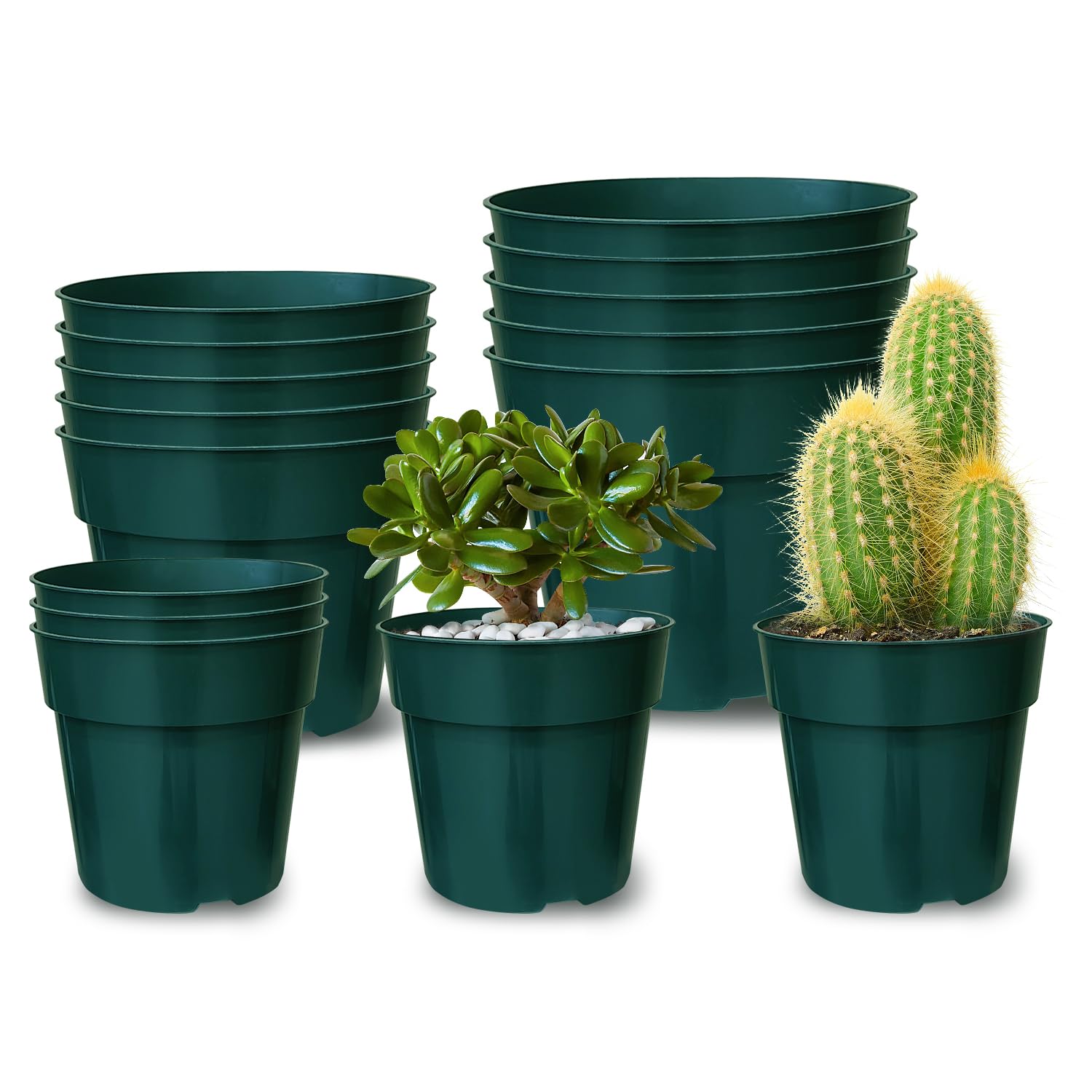 Photo 1 of RooTrimmer 15 Pack 4/6/8 Inch Plant Nursery Pots, Thickened Plastic Pots for Plants with Drainage Holes, Sturdy Seedling Pots, Seed Starting Pots, Flower Pots for Indoor Outdoor Plants, Green