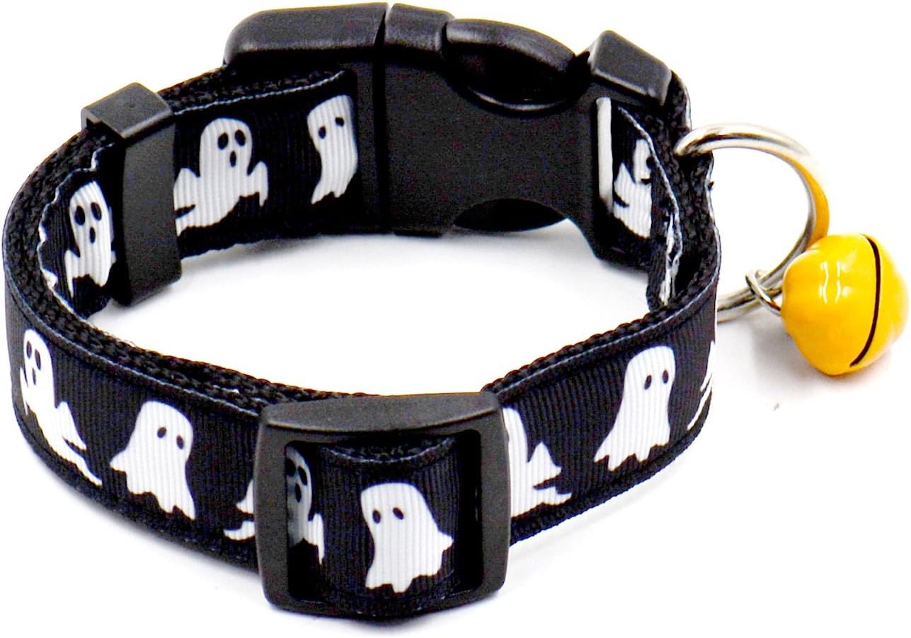 Stock collar for dogs Clearance