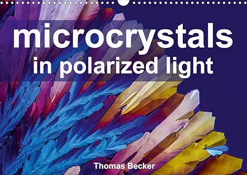 Download Microcrystals in polarized light 2020: The universe of microcrystals PDF