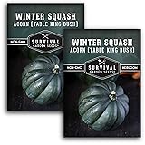 Table King Acorn Squash Seed for Planting - 2