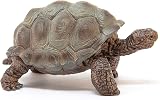 Schleich Giant Tortoise Figurine Realistic Galapagos Turtle Wildlife view 8