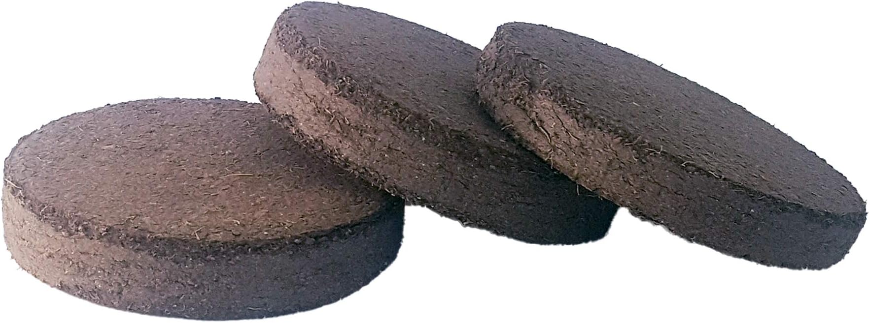 Galaxy Gifts Cricket Discs | Perfect Breeding Habitat | Just Add Water