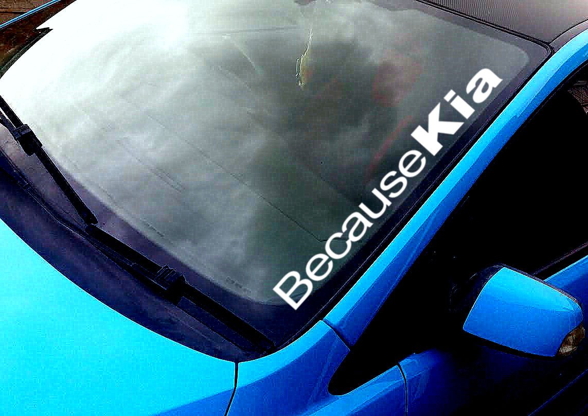 'Because/Kia Pride 16/Sorento/Sportage/Rio – + Bonus Test Windscreen  Sticker Printed Instructions from "Myrockshirt Wash Proof ESTREL Lina"  Lucky Star 10 "