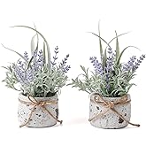Fuxdre Small Fake Plants, 2 Pack Mini Artificial Plants Fake Lavender Plant in Pot, Lavender Decor and Dining Room Desk Shelf Bathroom Living Room (A-2pcs)