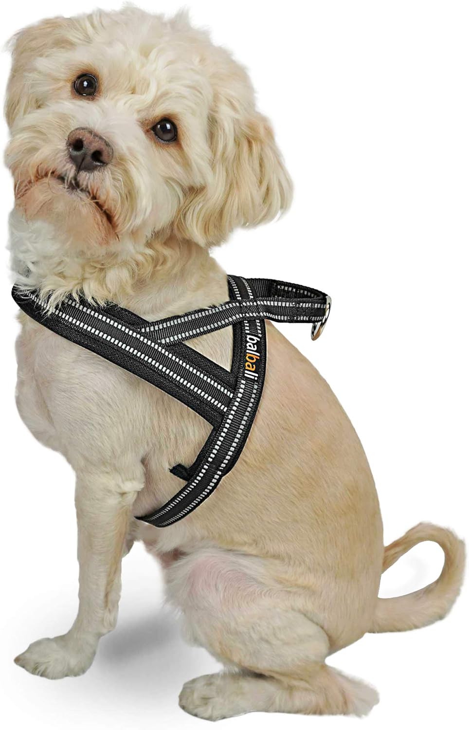 puglife dog harness