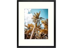 Frametory, 16x20 Picture Frame with Mat for 11x14 Picture- - High Definition Glass Wide Molding - Preinstalled Wall Mounting Hardware (Black, 1 Pack)