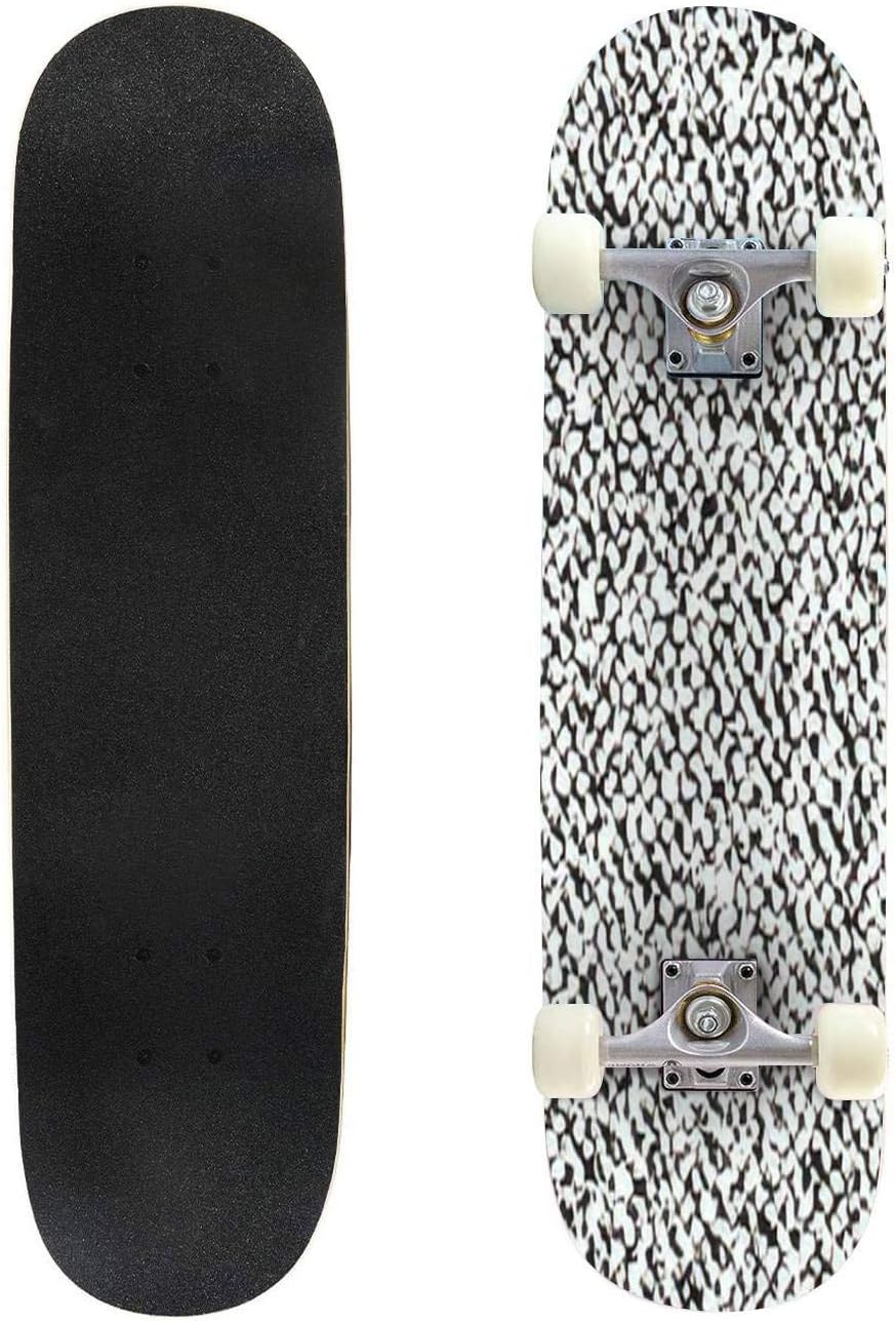 Classic Concave Skateboard Abstract Vector Grunge Texture Longboard Maple Deck Extreme Sports and Outdoors Double Kick Trick for Beginners and Professionals