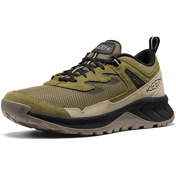 Amazon.com | KEEN Men's Nxis Evo WaterproofHiking Shoe, Bronze