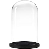 MyGift Bell Jar Glass Cloche Black Wood Base 10 Inch Display Dome | Protects Collectibles, Ideal for Florals, Candles &amp; Figurines, Elegant Tabletop Showcase for Home &amp; Event Displays