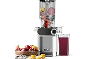 Anybear Cold Press Juicer, 200W Slow Masticating Juicer 4.3" Large Feed Chute Fit Whole Fruits Vegetables | Upgraded Auger | 