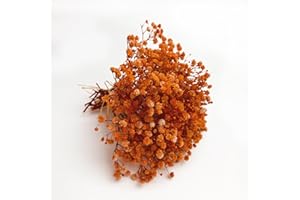 Birtlynn 6Pcs Preserved Baby's Breath, Mini Size Bouquets 100% Natrual Gypsophila Long Lasting Flowers for Vase Home Decoration Photo Props Parties Weddings Card Making Crafts Floral, DIY Décor-Orange