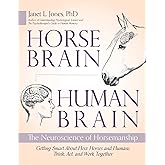 Horse Brain, Human Brain: The Neuroscience of Horsemanship
