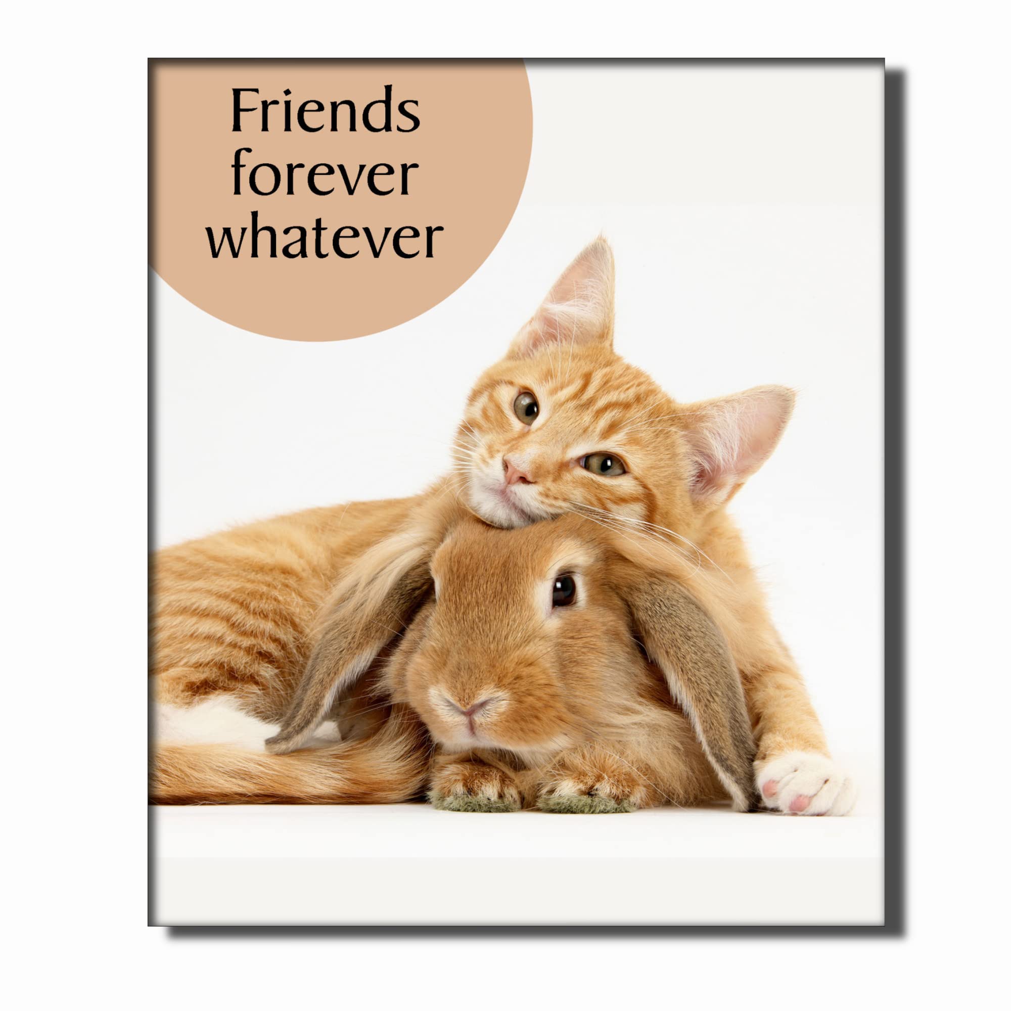 Cat Card - Friends Forever Whatever N505