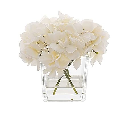 Kelly Hoppen London Hydrangeas In Glass Vase Amazon Co Uk
