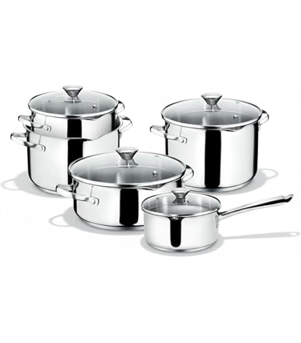 Amazon.com: Lagostina Every Saucepan with 2 Handles, Stainless