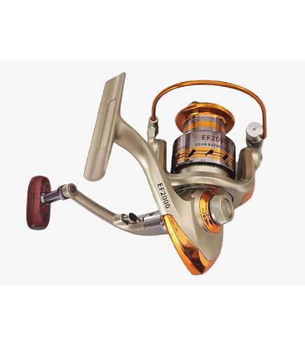 ef 4000 fishing reel peche YUMOSHI Series Gold Spinning 12 BB Whole Metal Line Cup (EF4000) : Sports & Outdoors Model:Convector 30L (Right Hand) LEWS there is no other Daiwa Great Lakes Sealine