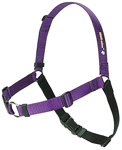 SENSE-ation No-Pull Dog Harness (Purple, Large Wide) by Sense-Ation Harness