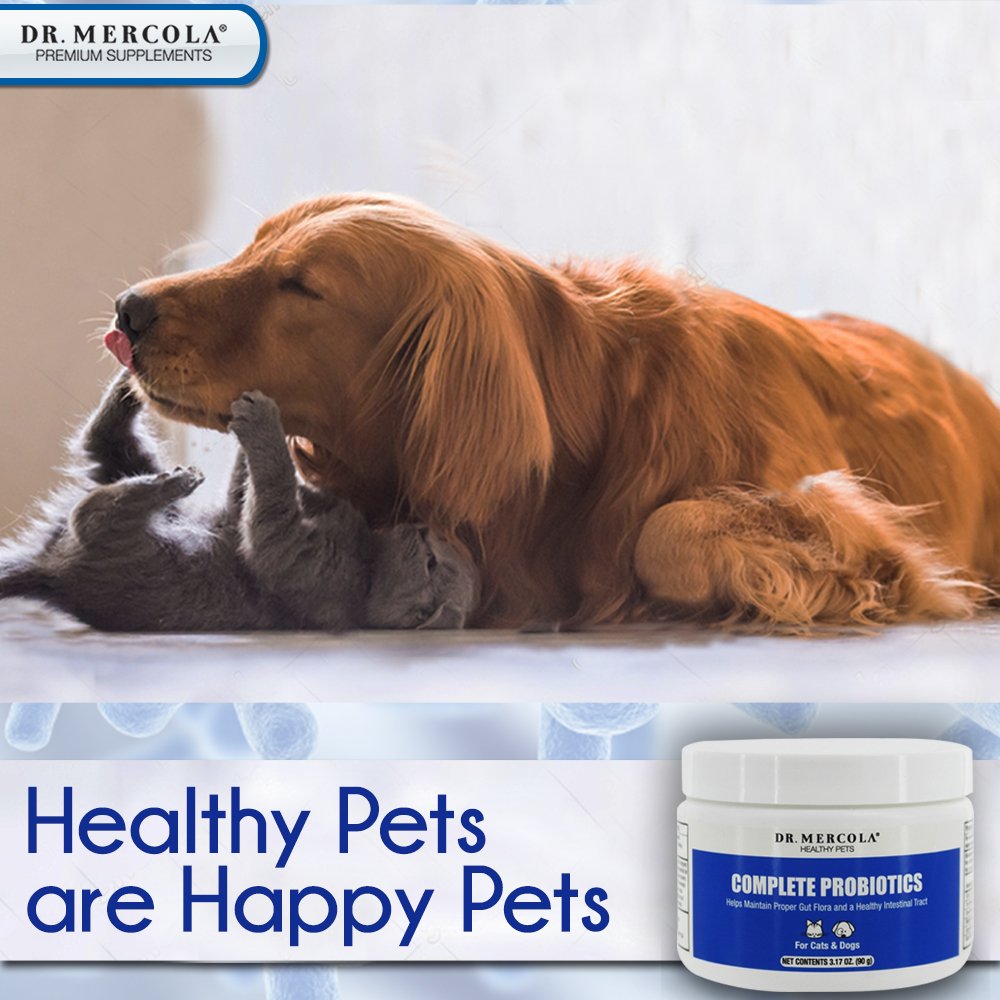 Dr. Mercola Complete Probiotics for Pets Helps Develop A Healthy