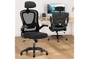 Office Chair, SPRDENG Ergonomic Office Chair with Two-Way Adjustable Lumbar Support & Headrest, High Back S-Shaped Computer C