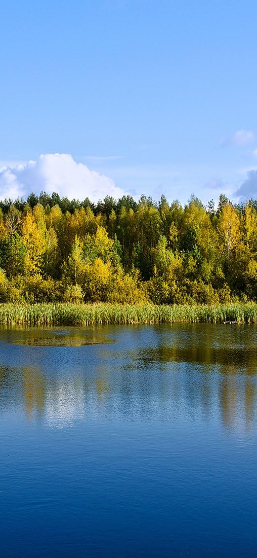 PeelitStickit, Beautiful Nature Wall Murals, ID-0042, vinyl, Multi-colour
